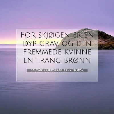 Picture 07 - Salomos Ordspråk 23:27 NORSK - For skjøgen er en dyp grav, og den fremmede - Bible Verse Picture