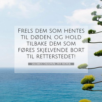Picture 07 - Salomos Ordspråk 24:11 NORSK - Frels dem som hentes til døden, og hold tilbake - Bible Verse Picture