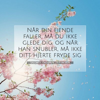 Picture 07 - Salomos Ordspråk 24:17 NORSK - Når din fiende faller, må du ikke glede dig, og - Bible Verse Picture