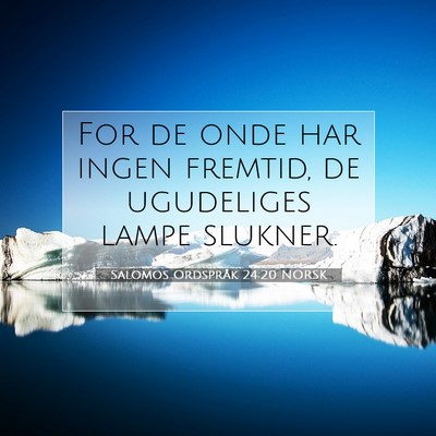 Picture 07 - Salomos Ordspråk 24:20 NORSK - For de onde har ingen fremtid, de ugudeliges - Bible Verse Picture
