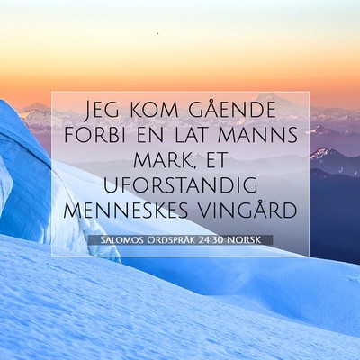 Picture 07 - Salomos Ordspråk 24:30 NORSK - Jeg kom gående forbi en lat manns mark, et - Bible Verse Picture