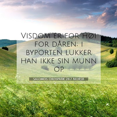 Picture 07 - Salomos Ordspråk 24:7 NORSK - Visdom er for høi for dåren; i byporten lukker - Bible Verse Picture