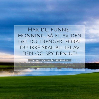 Picture 07 - Salomos Ordspråk 25:16 NORSK - Har du funnet honning, så et av den det du - Bible Verse Picture