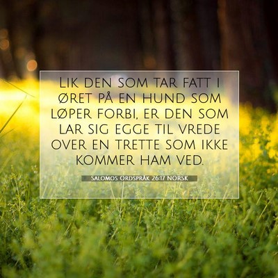 Picture 07 - Salomos Ordspråk 26:17 NORSK - Lik den som tar fatt i øret på en hund som - Bible Verse Picture