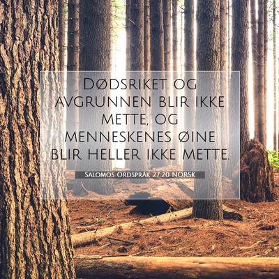Picture 07 - Salomos Ordspråk 27:20 NORSK - Dødsriket og avgrunnen blir ikke mette, og - Bible Verse Picture