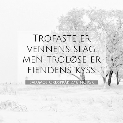 Picture 07 - Salomos Ordspråk 27:6 NORSK - Trofaste er vennens slag, men troløse er - Bible Verse Picture