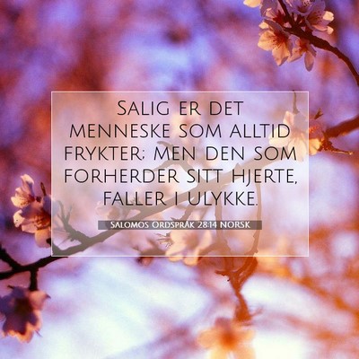 Picture 07 - Salomos Ordspråk 28:14 NORSK - Salig er det menneske som alltid frykter; men den - Bible Verse Picture