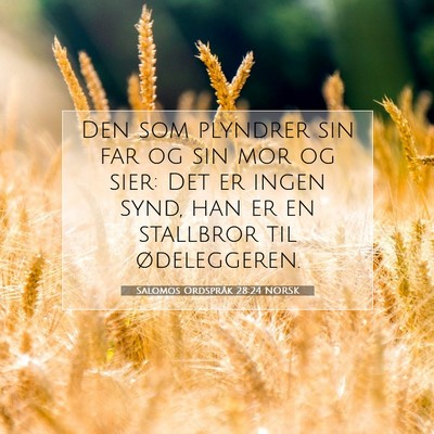 Picture 07 - Salomos Ordspråk 28:24 NORSK - Den som plyndrer sin far og sin mor og sier: Det - Bible Verse Picture