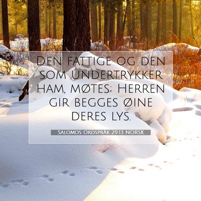 Picture 07 - Salomos Ordspråk 29:13 NORSK - Den fattige og den som undertrykker ham, møtes; - Bible Verse Picture