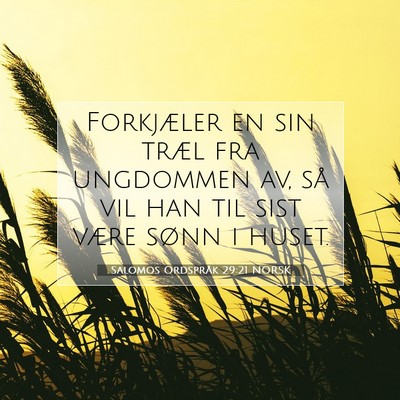 Picture 07 - Salomos Ordspråk 29:21 NORSK - Forkjæler en sin træl fra ungdommen av, så vil - Bible Verse Picture