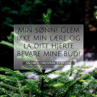 Picture 07 - Salomos Ordspråk 3:1 NORSK - Min sønn! Glem ikke min lære og la ditt hjerte - Bible Verse Picture