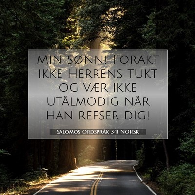 Picture 07 - Salomos Ordspråk 3:11 NORSK - Min sønn! Forakt ikke Herrens tukt og vær ikke - Bible Verse Picture