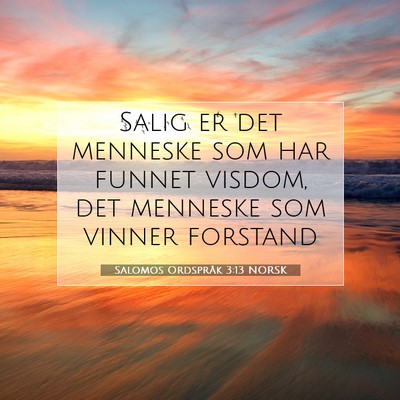 Picture 07 - Salomos Ordspråk 3:13 NORSK - Salig er det menneske som har funnet visdom, det - Bible Verse Picture