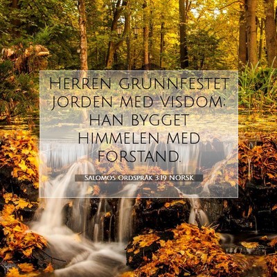 Picture 07 - Salomos Ordspråk 3:19 NORSK - Herren grunnfestet jorden med visdom; han bygget - Bible Verse Picture