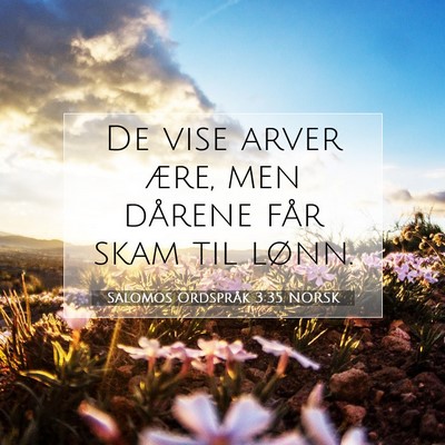 Picture 07 - Salomos Ordspråk 3:35 NORSK - De vise arver ære, men dårene får skam til - Bible Verse Picture