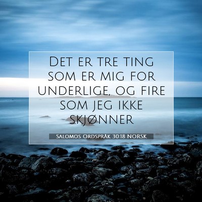 Picture 07 - Salomos Ordspråk 30:18 NORSK - Det er tre ting som er mig for underlige, og fire - Bible Verse Picture