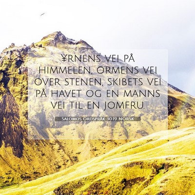 Picture 07 - Salomos Ordspråk 30:19 NORSK - ¥rnens vei på himmelen, ormens vei over stenen, - Bible Verse Picture