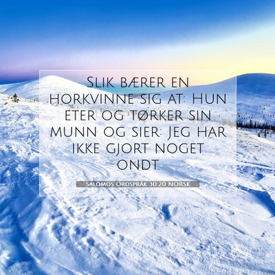 Picture 07 - Salomos Ordspråk 30:20 NORSK - Slik bærer en horkvinne sig at: Hun eter og - Bible Verse Picture