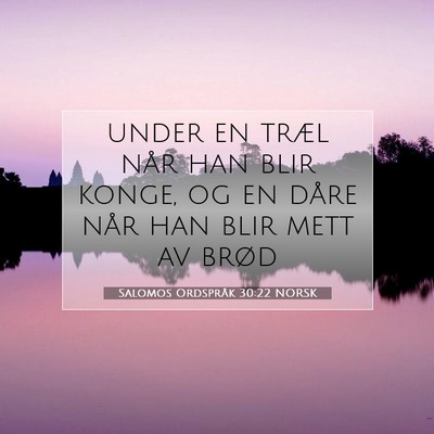 Picture 07 - Salomos Ordspråk 30:22 NORSK - under en træl når han blir konge, og en dåre - Bible Verse Picture