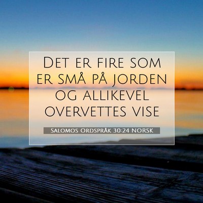Picture 07 - Salomos Ordspråk 30:24 NORSK - Det er fire som er små på jorden og allikevel - Bible Verse Picture