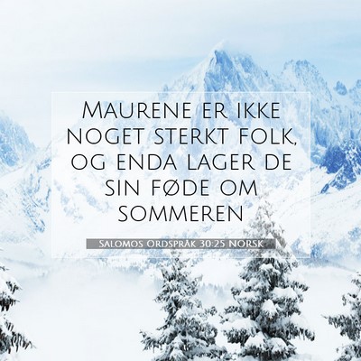Picture 07 - Salomos Ordspråk 30:25 NORSK - Maurene er ikke noget sterkt folk, og enda lager - Bible Verse Picture
