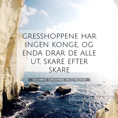 Picture 07 - Salomos Ordspråk 30:27 NORSK - gresshoppene har ingen konge, og enda drar de - Bible Verse Picture