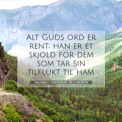 Picture 07 - Salomos Ordspråk 30:5 NORSK - Alt Guds ord er rent; han er et skjold for dem - Bible Verse Picture