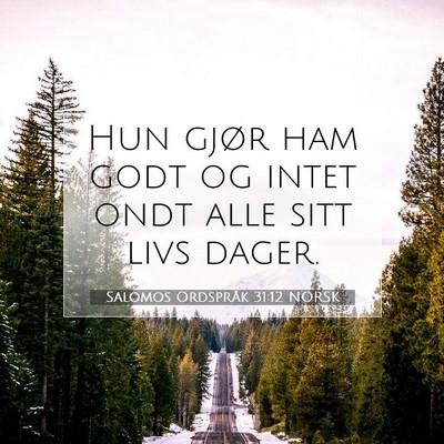 Picture 07 - Salomos Ordspråk 31:12 NORSK - Hun gjør ham godt og intet ondt alle sitt livs - Bible Verse Picture