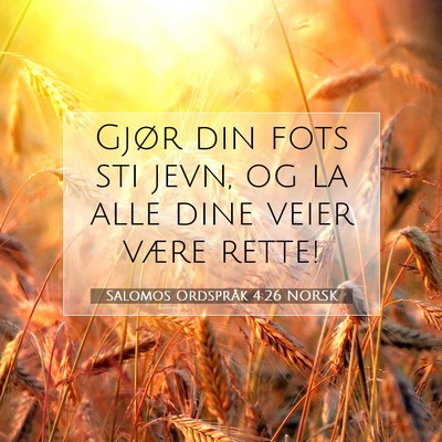 Picture 07 - Salomos Ordspråk 4:26 NORSK - Gjør din fots sti jevn, og la alle dine veier - Bible Verse Picture