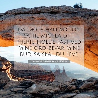 Picture 07 - Salomos Ordspråk 4:4 NORSK - da lærte han mig og sa til mig: La ditt hjerte - Bible Verse Picture