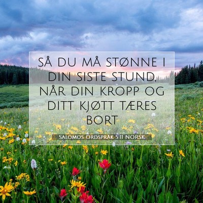 Picture 07 - Salomos Ordspråk 5:11 NORSK - så du må stønne i din siste stund, når din - Bible Verse Picture