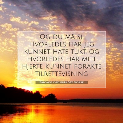 Picture 07 - Salomos Ordspråk 5:12 NORSK - Og du må si: Hvorledes har jeg kunnet hate tukt, - Bible Verse Picture