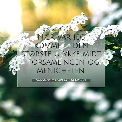 Picture 07 - Salomos Ordspråk 5:14 NORSK - Nær var jeg kommet i den største ulykke midt i - Bible Verse Picture