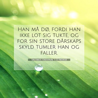 Picture 07 - Salomos Ordspråk 5:23 NORSK - Han må dø, fordi han ikke lot sig tukte, og for - Bible Verse Picture