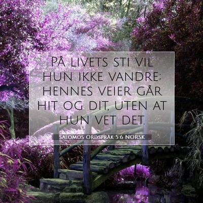 Picture 07 - Salomos Ordspråk 5:6 NORSK - På livets sti vil hun ikke vandre; hennes veier - Bible Verse Picture