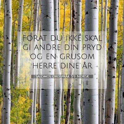 Picture 07 - Salomos Ordspråk 5:9 NORSK - forat du ikke skal gi andre din pryd og en grusom - Bible Verse Picture