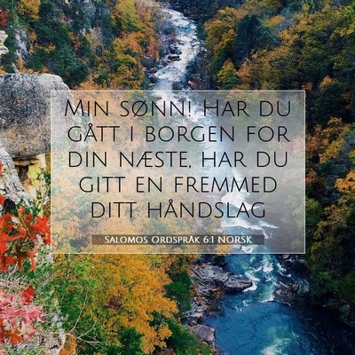 Picture 07 - Salomos Ordspråk 6:1 NORSK - Min sønn! Har du gått i borgen for din næste, - Bible Verse Picture