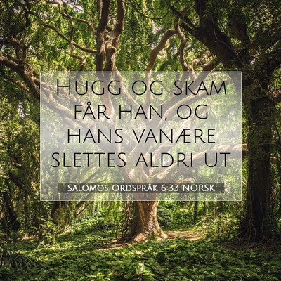 Picture 07 - Salomos Ordspråk 6:33 NORSK - Hugg og skam får han, og hans vanære slettes - Bible Verse Picture