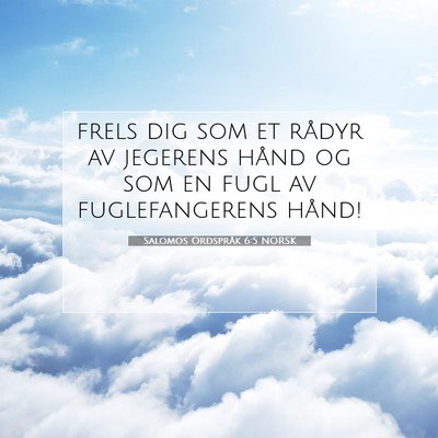 Picture 07 - Salomos Ordspråk 6:5 NORSK - frels dig som et rådyr av jegerens hånd og som - Bible Verse Picture
