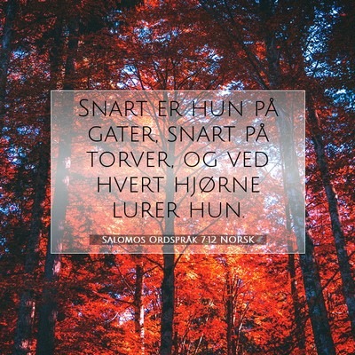 Picture 07 - Salomos Ordspråk 7:12 NORSK - Snart er hun på gater, snart på torver, og ved - Bible Verse Picture
