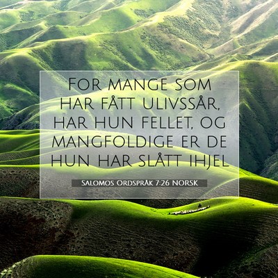 Picture 07 - Salomos Ordspråk 7:26 NORSK - For mange som har fått ulivssår, har hun - Bible Verse Picture