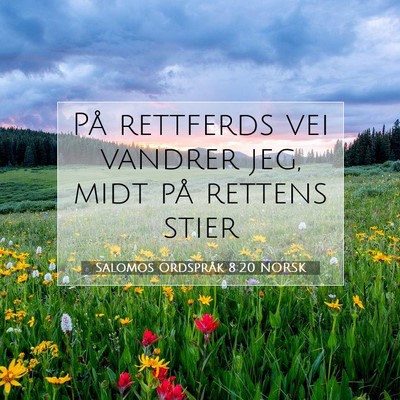 Picture 07 - Salomos Ordspråk 8:20 NORSK - På rettferds vei vandrer jeg, midt på rettens - Bible Verse Picture