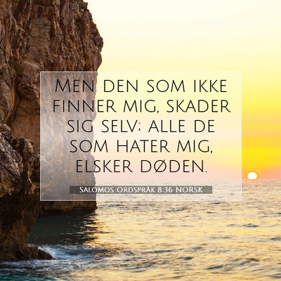 Picture 07 - Salomos Ordspråk 8:36 NORSK - Men den som ikke finner mig, skader sig selv; - Bible Verse Picture