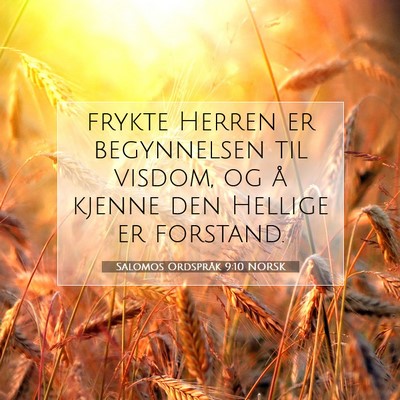 Picture 07 - Salomos Ordspråk 9:10 NORSK - frykte Herren er begynnelsen til visdom, og å - Bible Verse Picture
