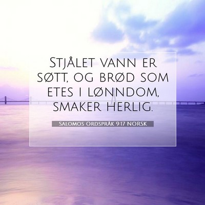Picture 07 - Salomos Ordspråk 9:17 NORSK - Stjålet vann er søtt, og brød som etes i - Bible Verse Picture