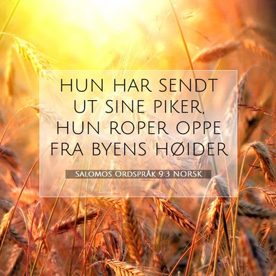 Picture 07 - Salomos Ordspråk 9:3 NORSK - hun har sendt ut sine piker, hun roper oppe fra - Bible Verse Picture