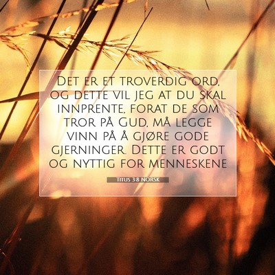 Picture 07 - Titus 3:8 NORSK - Det er et troverdig ord, og dette vil jeg at du - Bible Verse Picture
