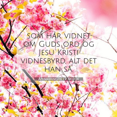 Picture 07 - Åpenbaringen 1:2 NORSK - som har vidnet om Guds ord og Jesu Kristi - Bible Verse Picture