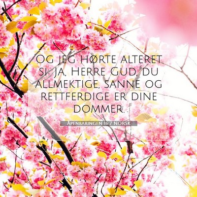 Picture 07 - Åpenbaringen 16:7 NORSK - Og jeg hørte alteret si: Ja, Herre Gud, du - Bible Verse Picture