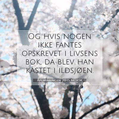 Picture 07 - Åpenbaringen 20:15 NORSK - Og hvis nogen ikke fantes opskrevet i livsens - Bible Verse Picture